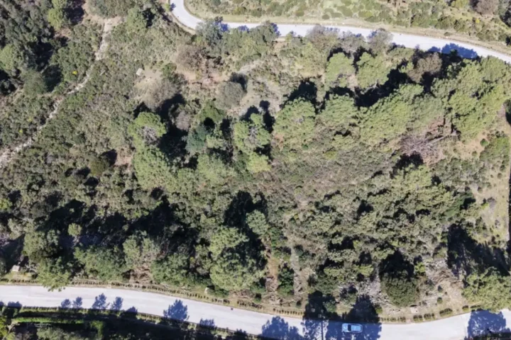 Prime Building Plot in La Zagaleta | 5,613 m² | Exceptional Development Opportunity