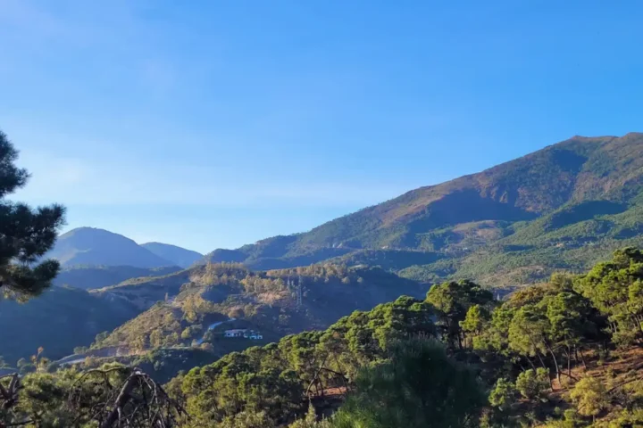 Panoramic Mountain View Plot in La Zagaleta | 8,743 m² | €3.25M