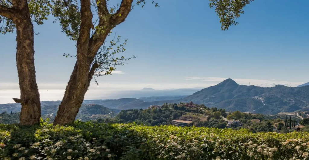Exceptional Villa in La Zagaleta | 9 Bedrooms | €14.75M 2