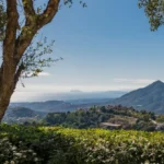 Exceptional Villa in La Zagaleta | 9 Bedrooms | €14.75M 2