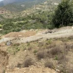Licensed Panoramic View Plot in La Zagaleta | 5,216 m² | €4.2M 2