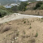 Licensed Panoramic View Plot in La Zagaleta | 5,216 m² | €4.2M 3