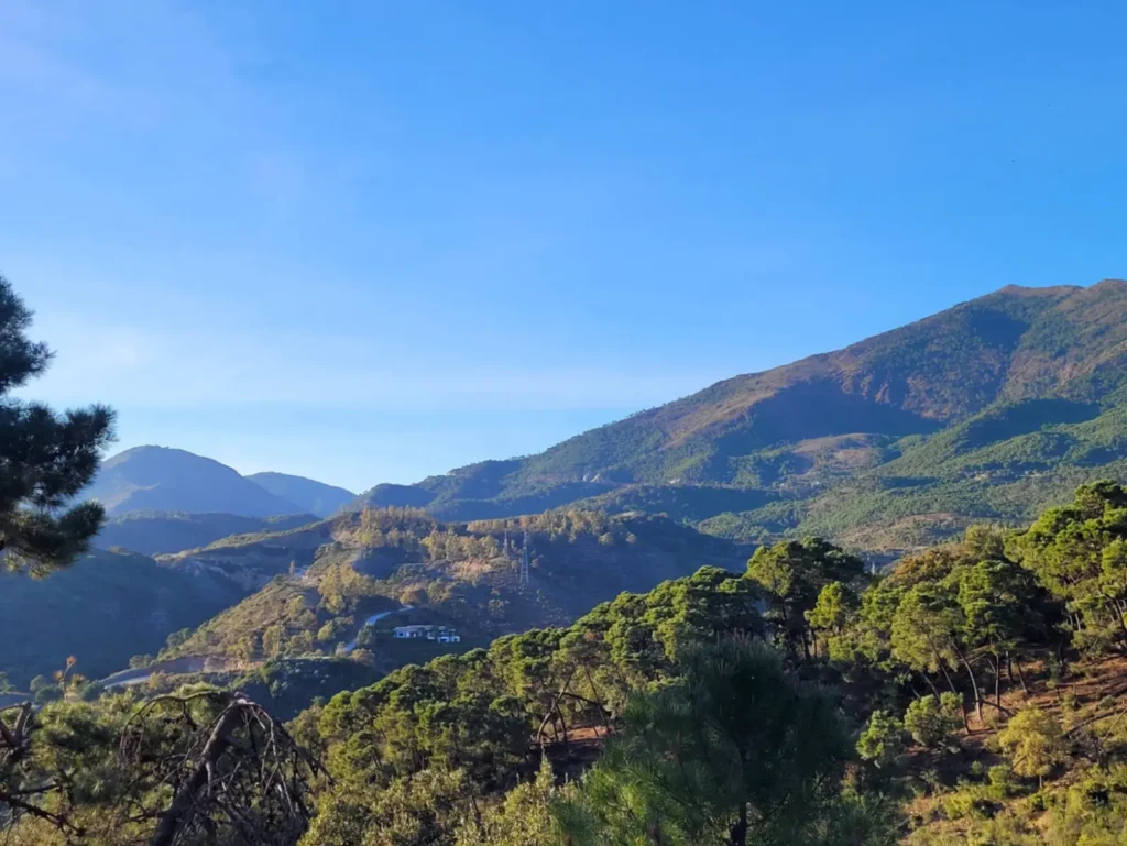Panoramic Mountain View Plot in La Zagaleta | 8,743 m² | €3.25M 1