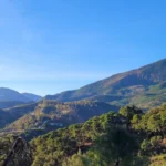 Panoramic Mountain View Plot in La Zagaleta | 8,743 m² | €3.25M 1