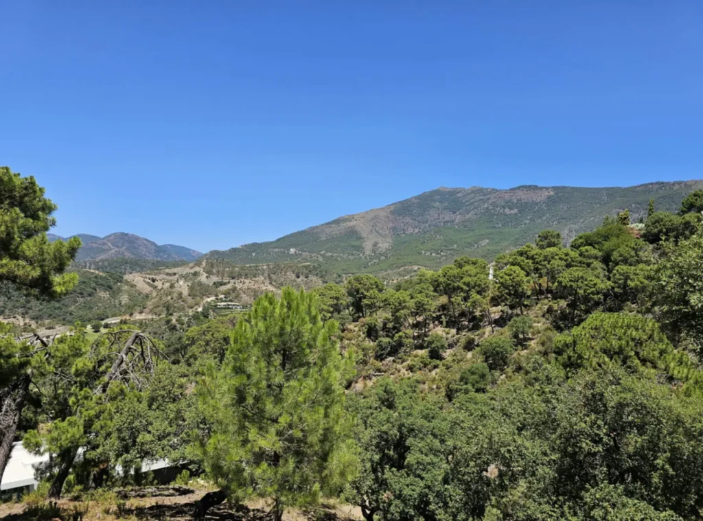 Panoramic Mountain View Plot in La Zagaleta | 8,743 m² | €3.25M 2