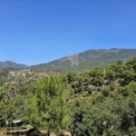 Panoramic Mountain View Plot in La Zagaleta | 8,743 m² | €3.25M 2
