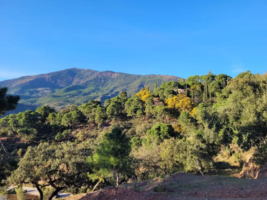 Panoramic Mountain View Plot in La Zagaleta | 8,743 m² | €3.25M 3