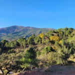 Panoramic Mountain View Plot in La Zagaleta | 8,743 m² | €3.25M 3