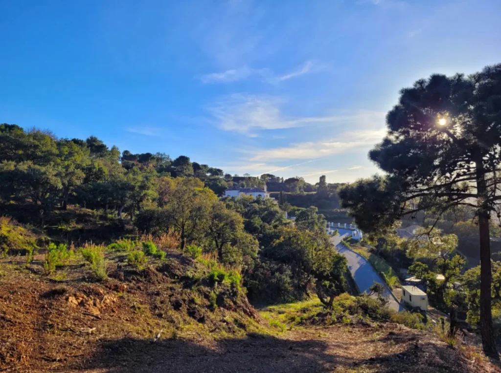 Panoramic Mountain View Plot in La Zagaleta | 8,743 m² | €3.25M 4
