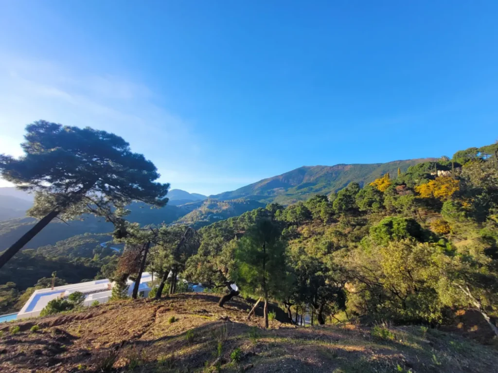 Panoramic Mountain View Plot in La Zagaleta | 8,743 m² | €3.25M 5