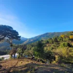 Panoramic Mountain View Plot in La Zagaleta | 8,743 m² | €3.25M 5