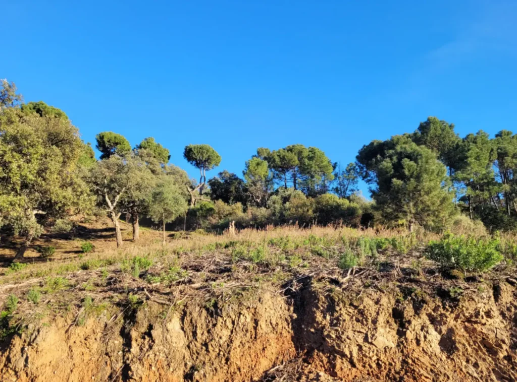 Panoramic Mountain View Plot in La Zagaleta | 8,743 m² | €3.25M 6
