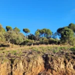 Panoramic Mountain View Plot in La Zagaleta | 8,743 m² | €3.25M 6