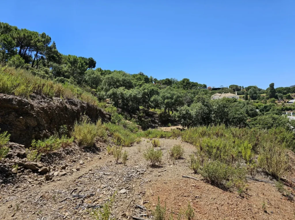 Panoramic Mountain View Plot in La Zagaleta | 8,743 m² | €3.25M 7