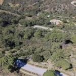 Prime Building Plot in La Zagaleta | 5,613 m² | Exceptional Development Opportunity 1